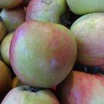Pile of Belle de Boskoop apples, closeup of the pile.