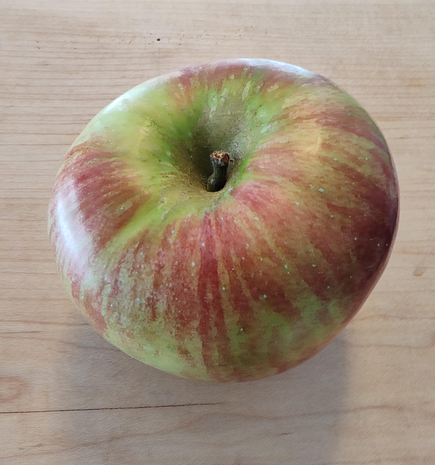 Cortland Original Apple
