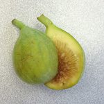 Yellow Long Neck Fig Bareroot