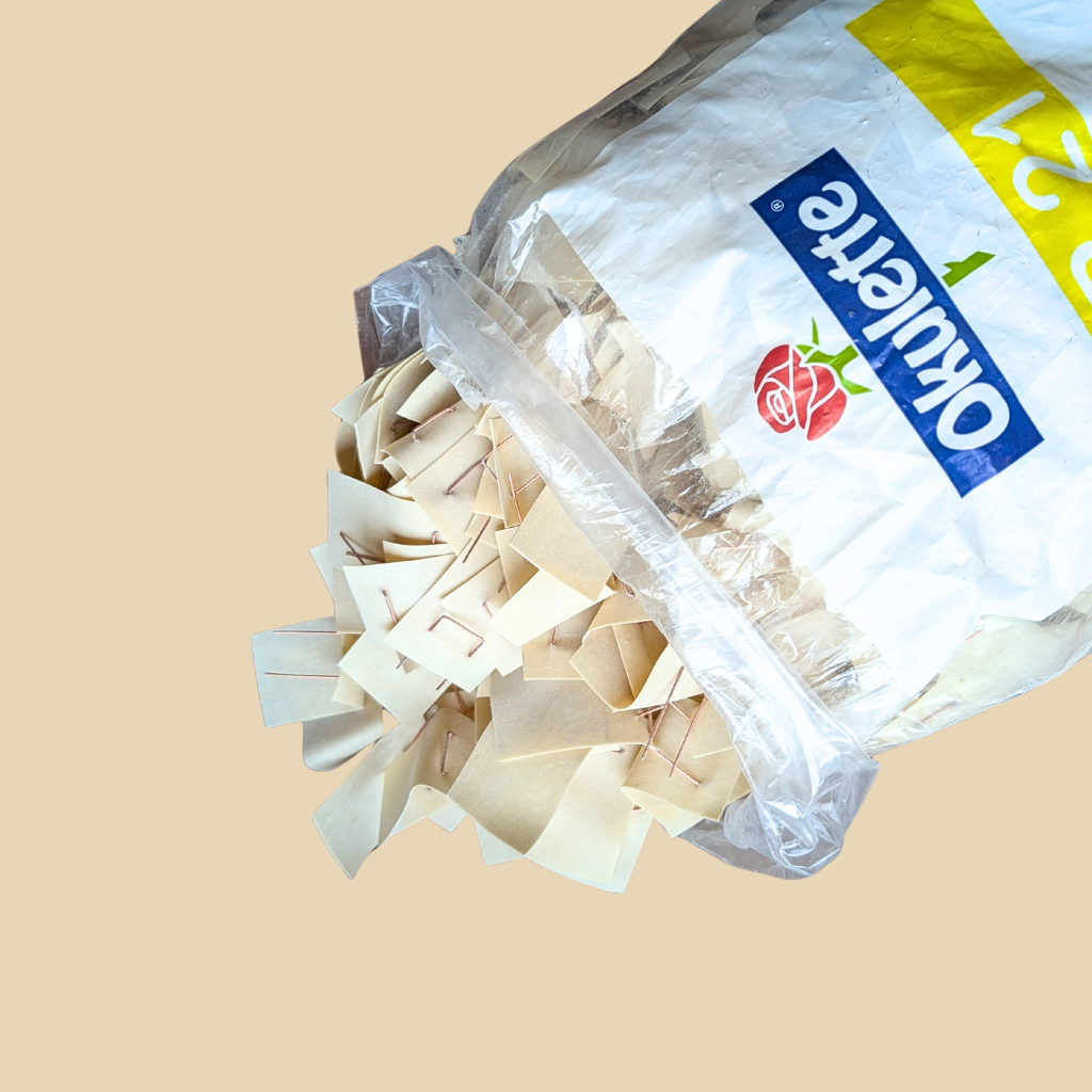 Chip Budding Rubbers with Staples