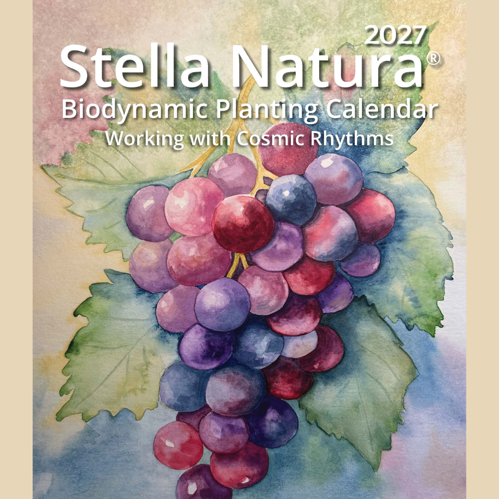 2027 Stella Natura Biodynamic Planting Calendar