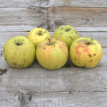 Grimes Golden Apple