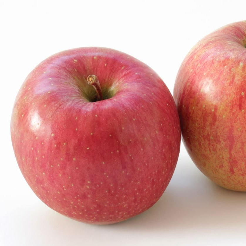 Potted Hokuto Apple