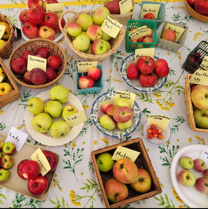 Orchard Tasting Box