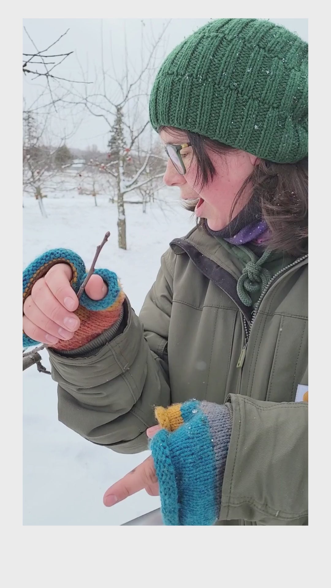 Winter Pruning Workshop & Wassail