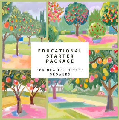 A colourful painting of trees advertising the educational starter package