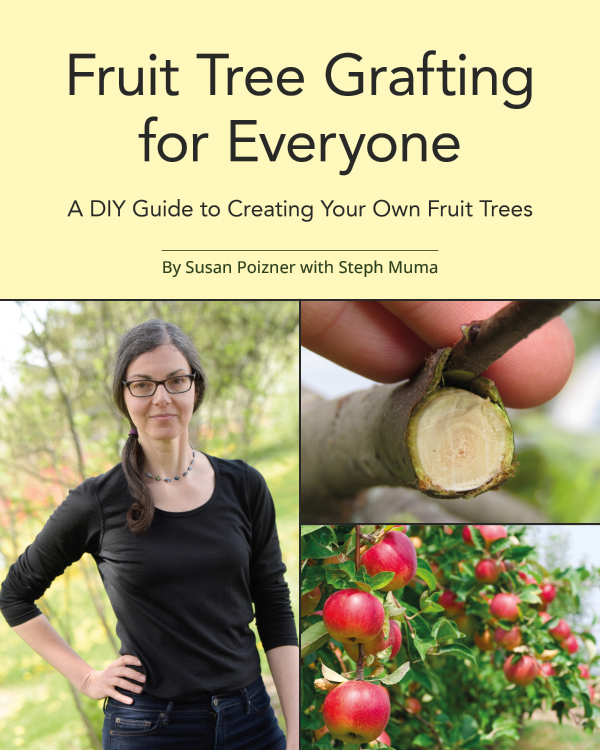Fruit Tree Grafting for Everyone by Susan Poizner with Steph Muma