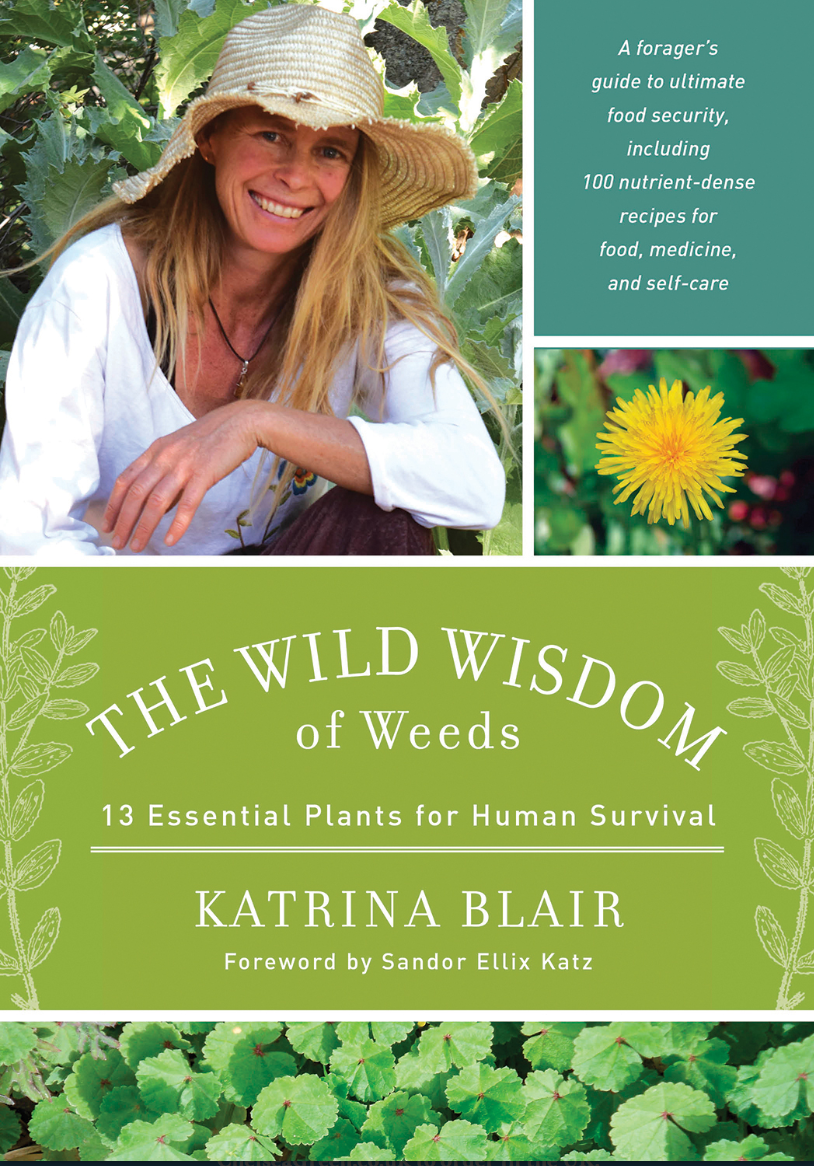 The Wild Wisdom of Weeds by Katrina Blair (book)