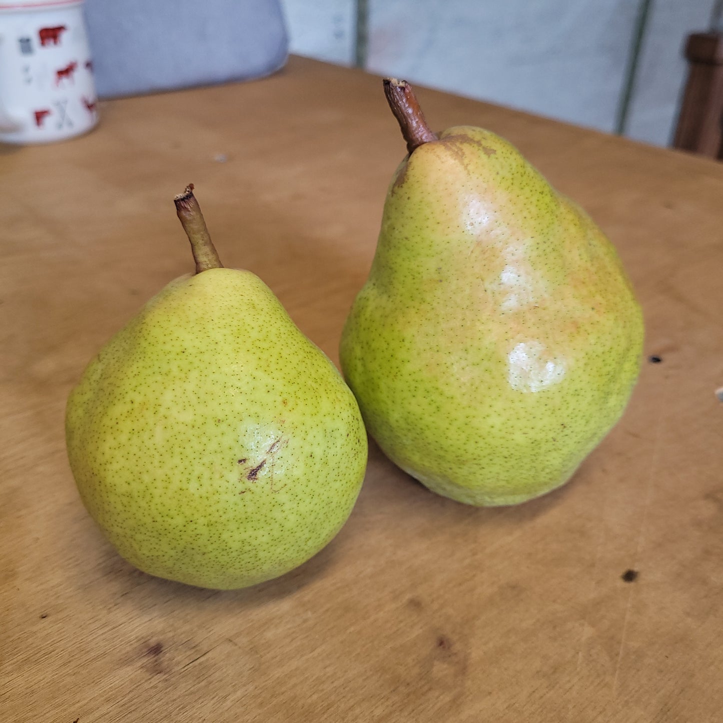 Cold Snap™ Pear