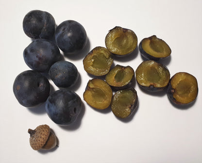 Krikon Damson European Plum