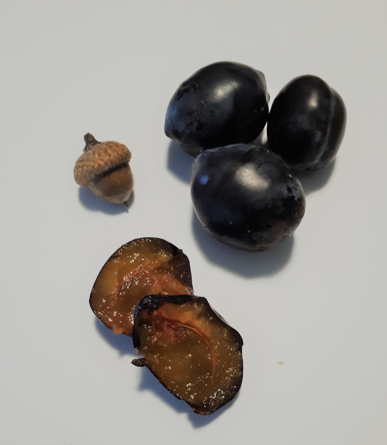 Stanley European Plum