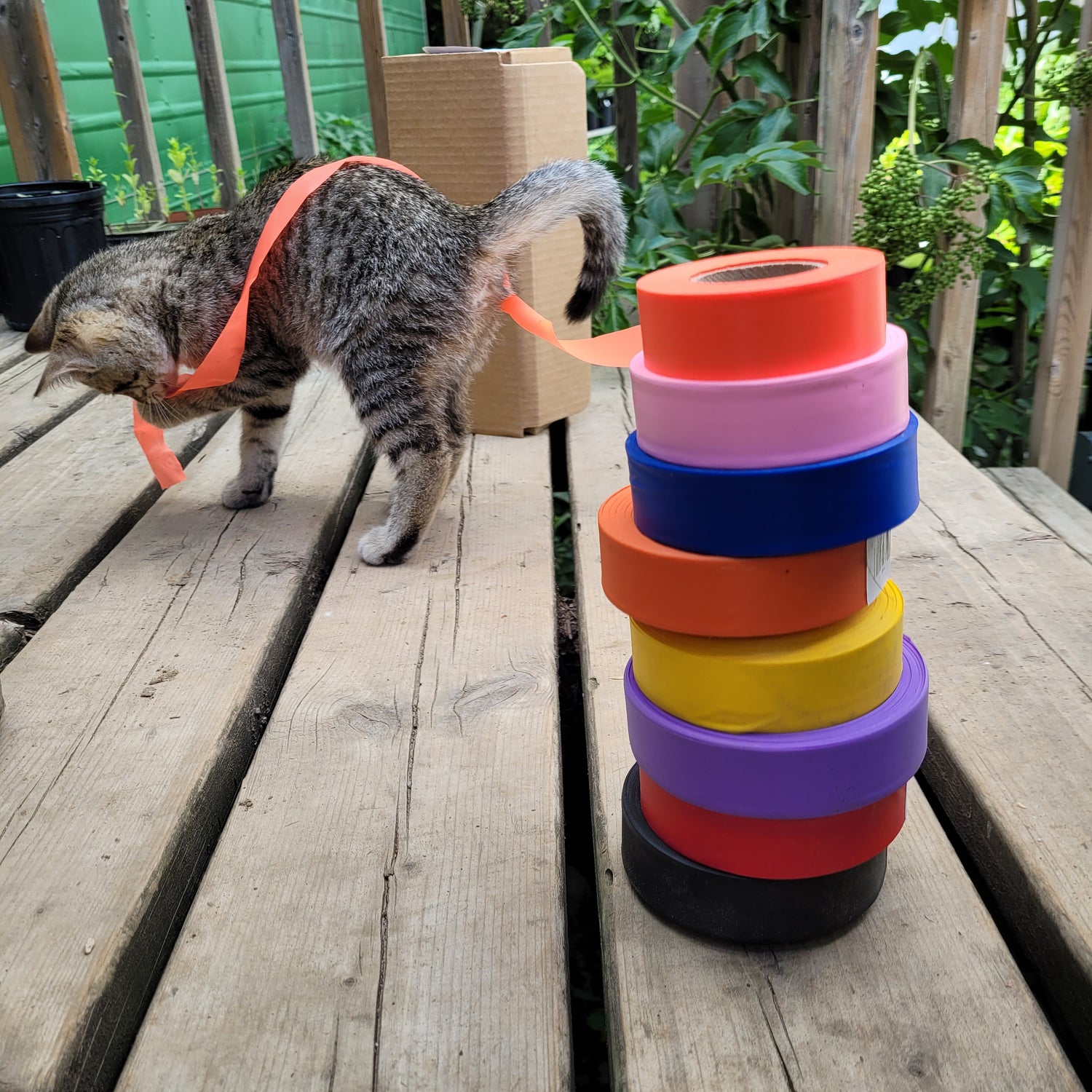 Tagging Ribbon stacked to show different colour options: black, red, purple, yellow, orange, blue, pink