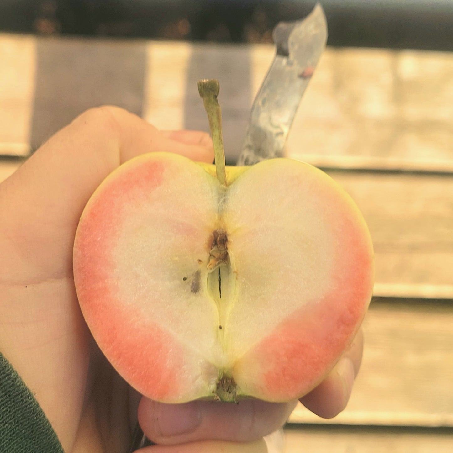 Pink Pearl Apple