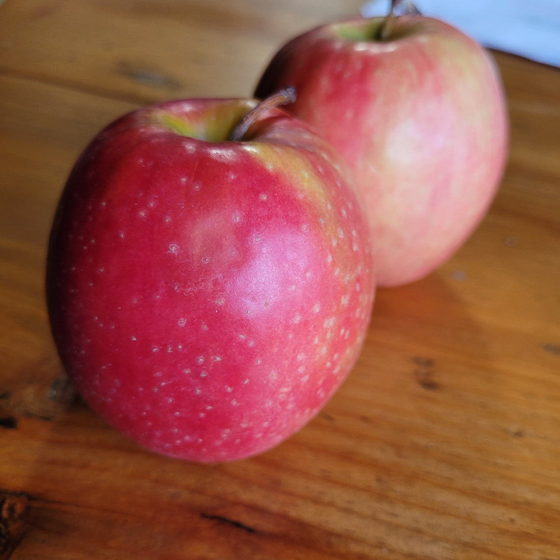 Cripps Pink Apple Silver Creek Nursery Ltd.