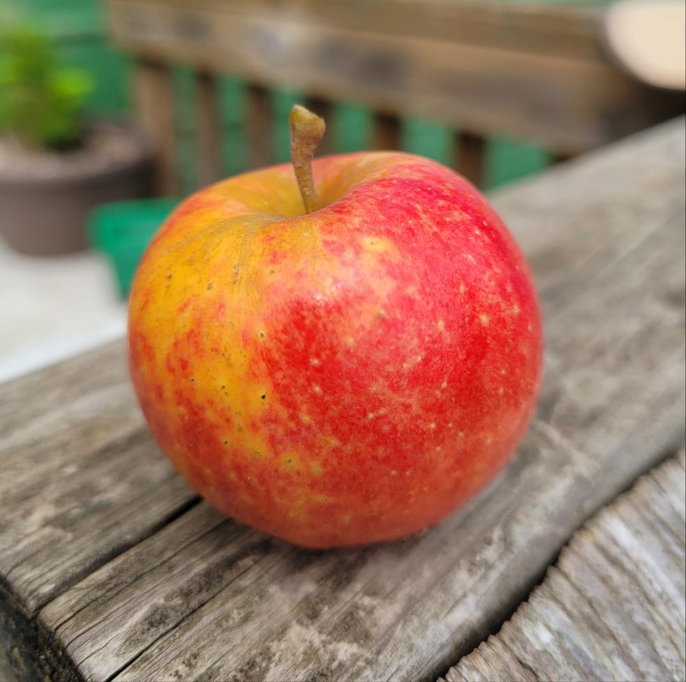 Norkent Apple