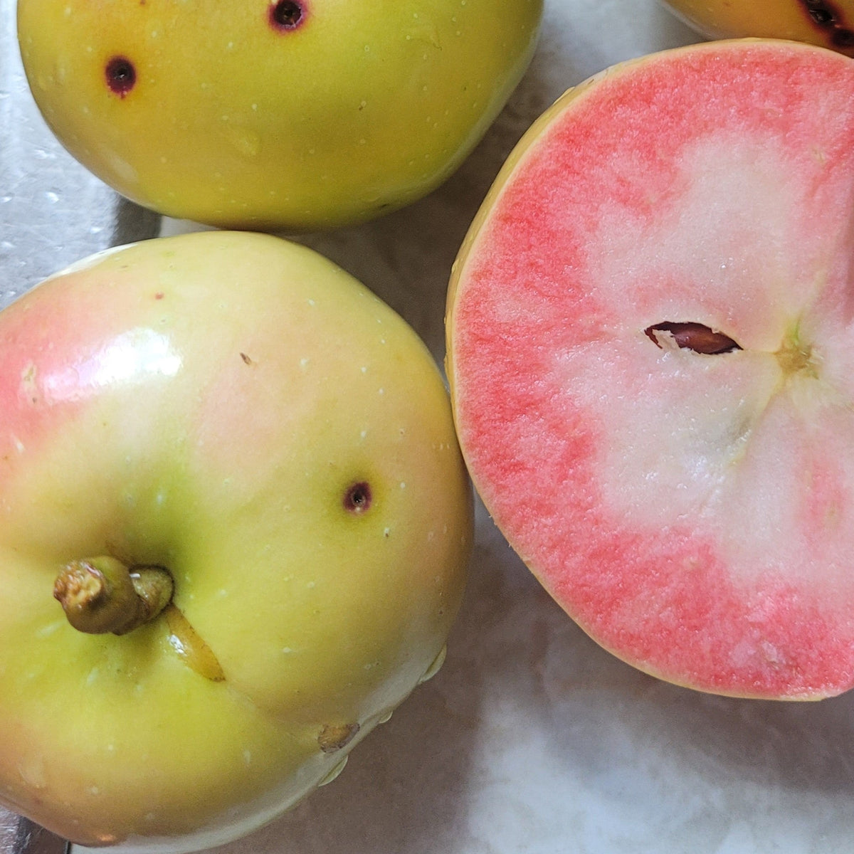 Pink Pearl Apple