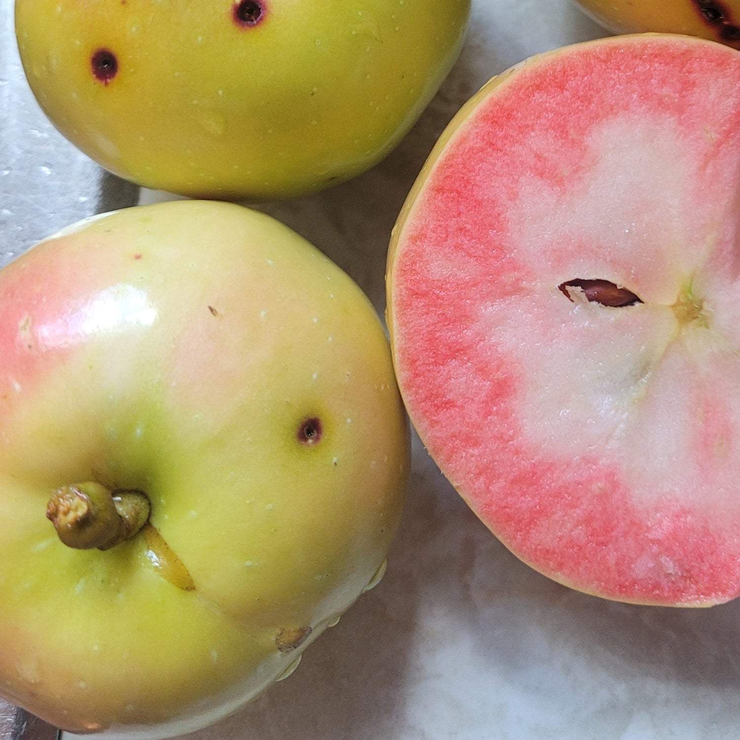 Pink Pearl Apple
