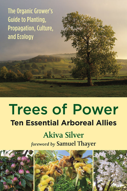 Trees of Power by Akiva Silver