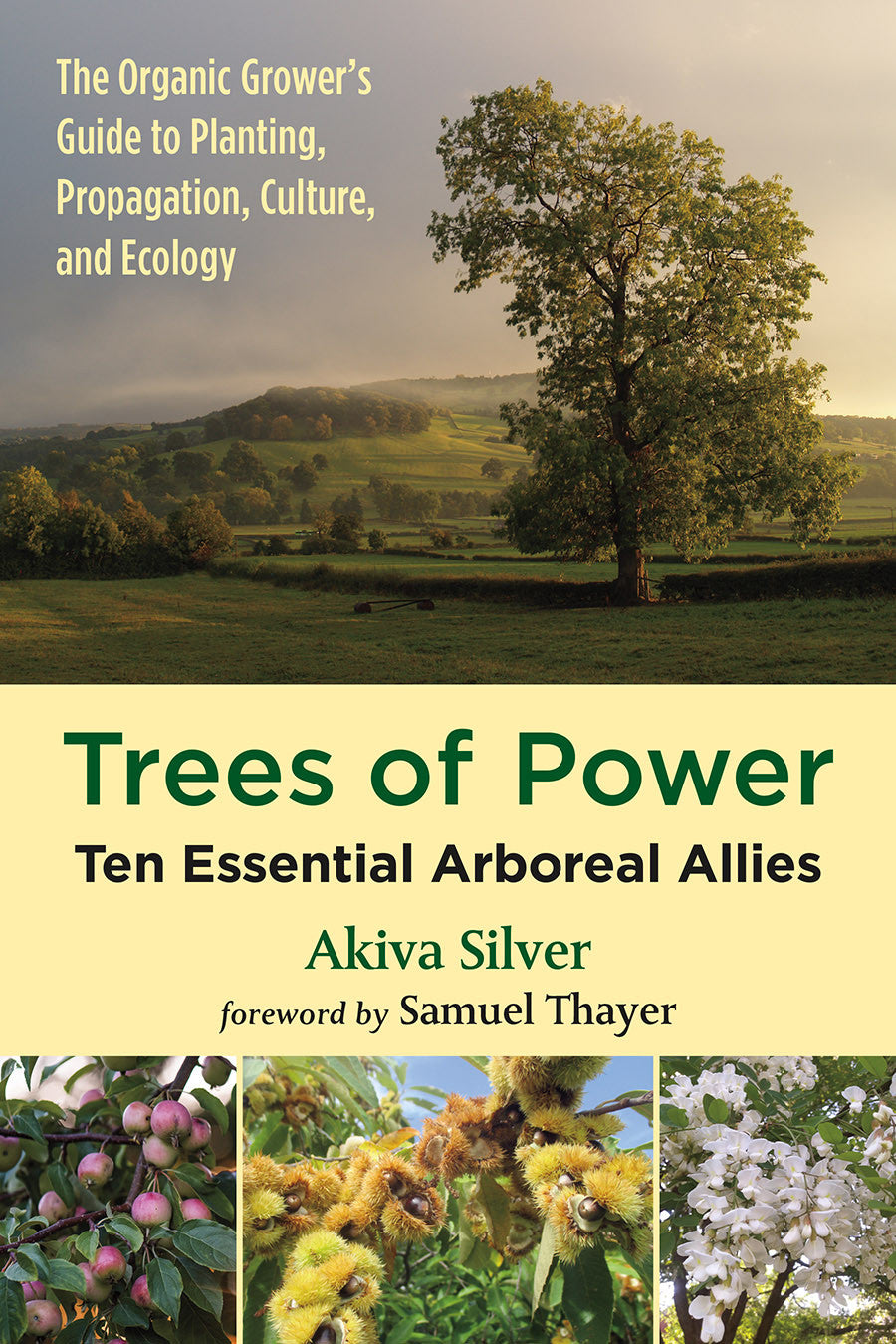 Trees of Power by Akiva Silver (book)