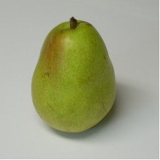 Anjou pear.