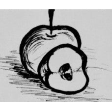 Novaspy Apple Scionwood