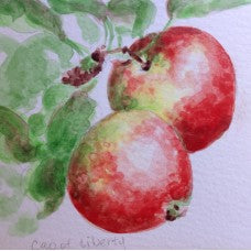 Cap of Liberty Apple - watercolour painting