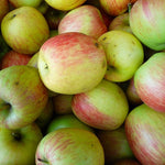 Delbarestivale Apples in a pile