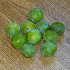 Greengage European Plum