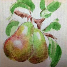 Harrow Delight Pear