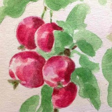 Hyslop Crabapple