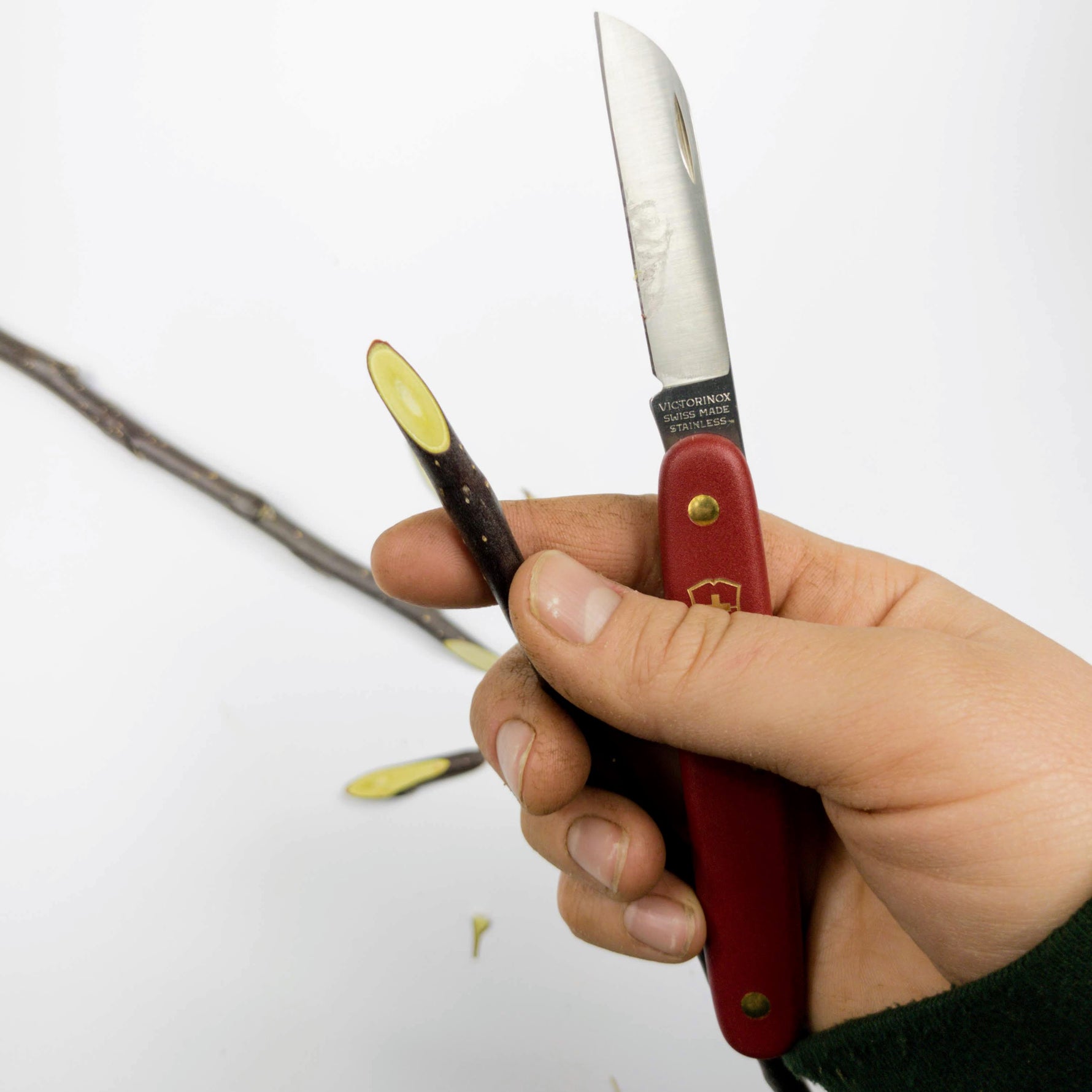 Grafting Knife held in someone's hand