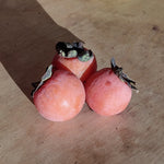 Three American Persimmons sitting on a table.