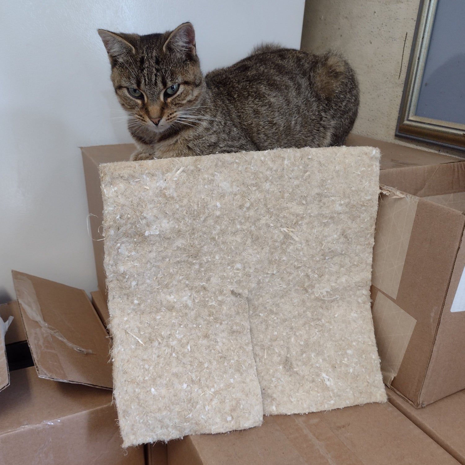 Hemp Mat 