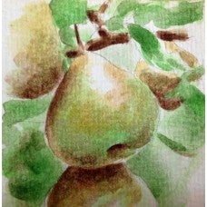 Gelbmostler Pear
