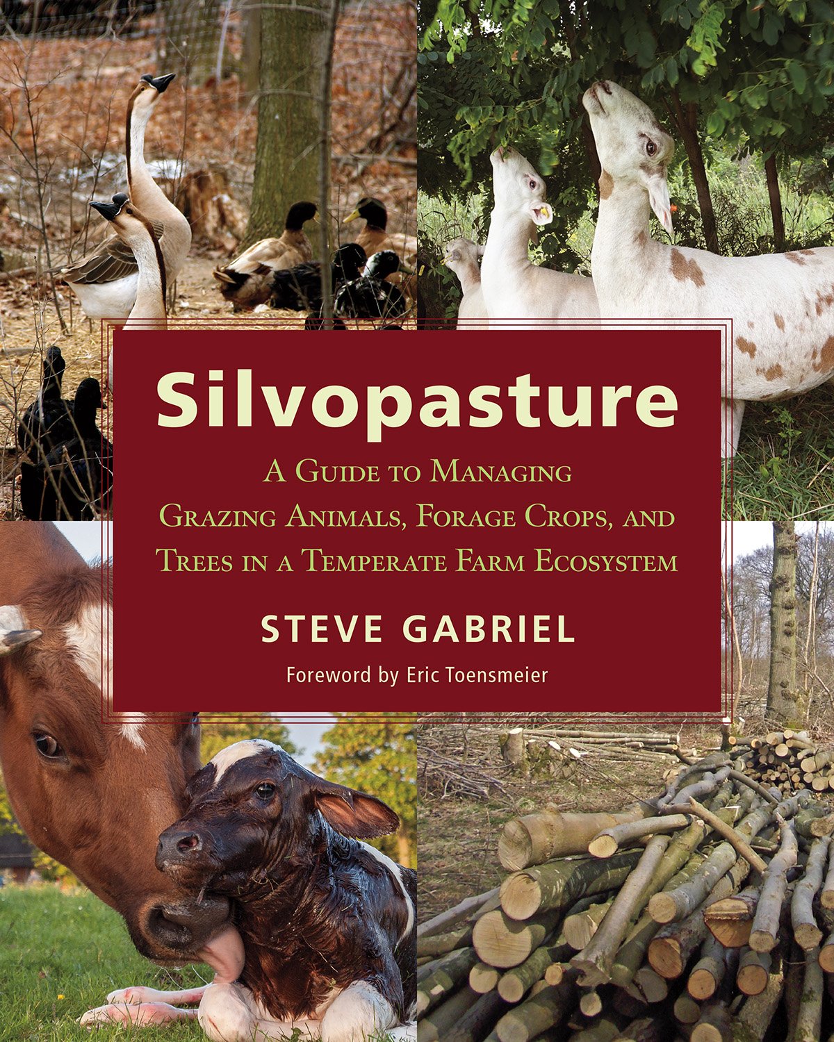 Silvopasture by Steve Gabriel