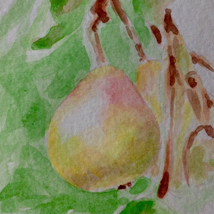 Winnal's Longdon Pear