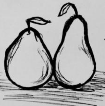 Normannischen-Ciderbirne (Normandy Perry) Pear